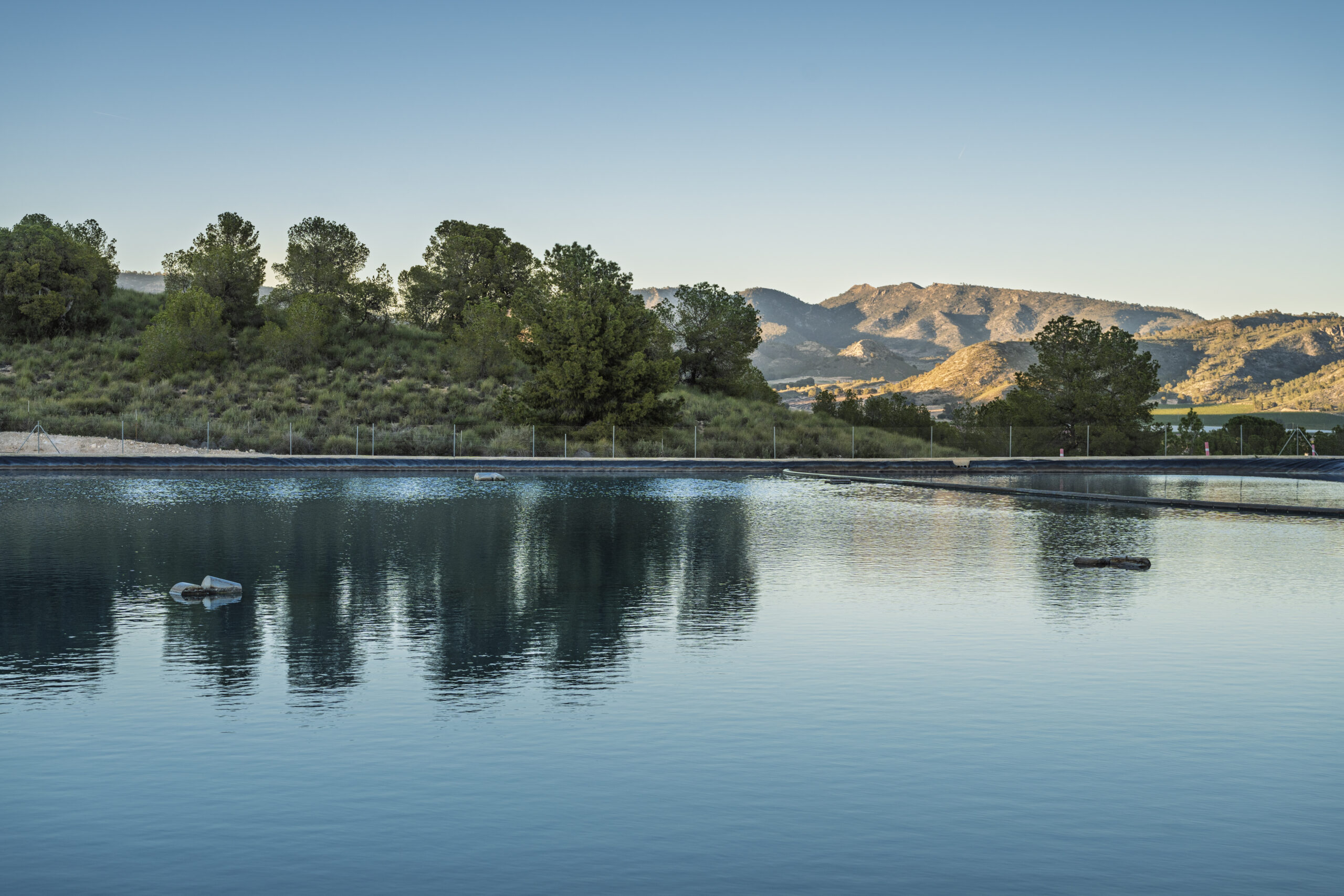 Seguros para Particulares paco Caballero