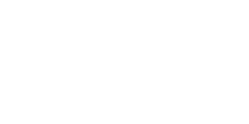 dkv logo